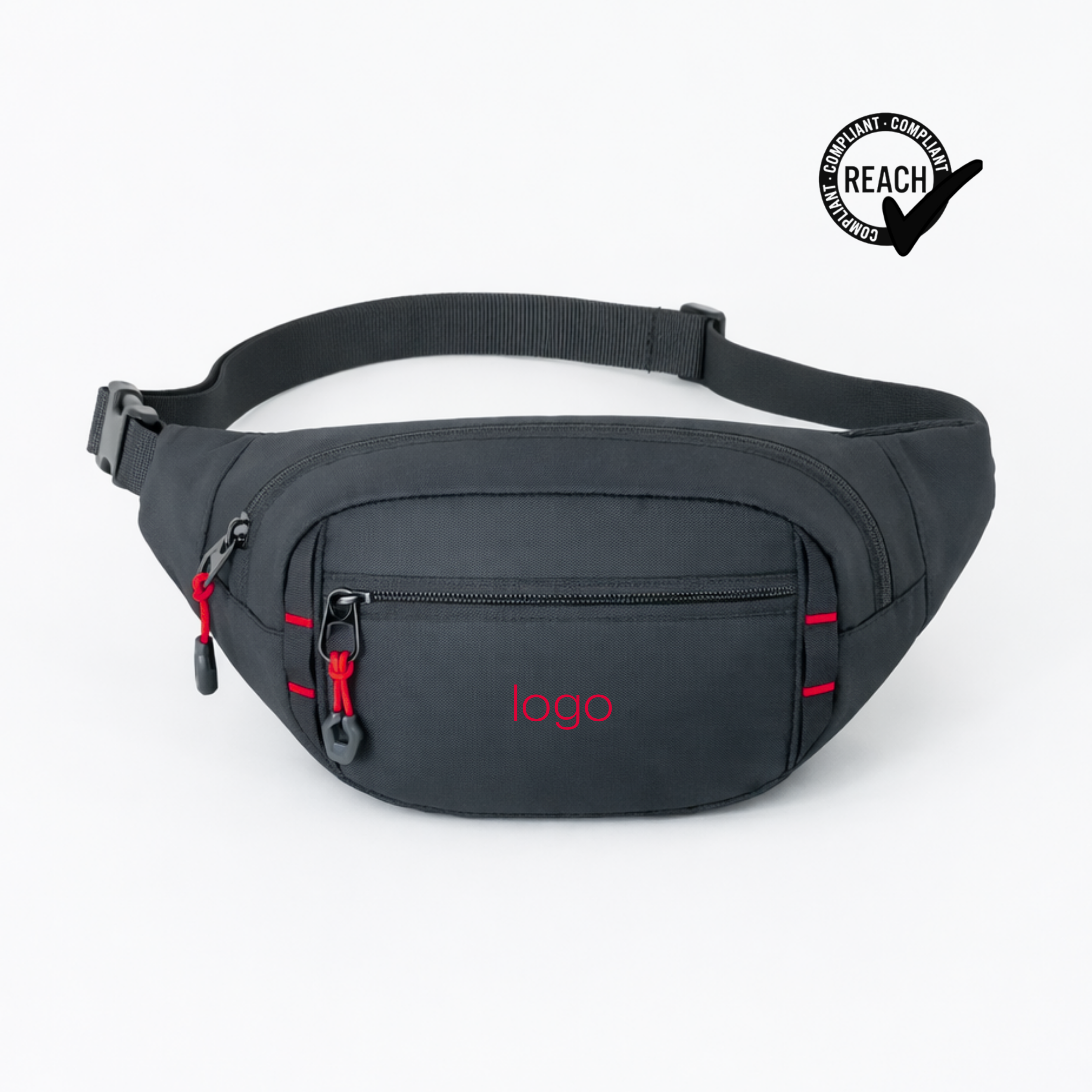 Expedition waist bag